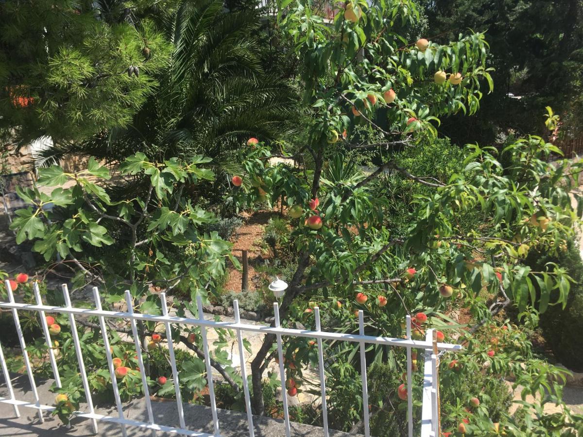 Beach House Starigrad Paklenica Dış mekan fotoğraf