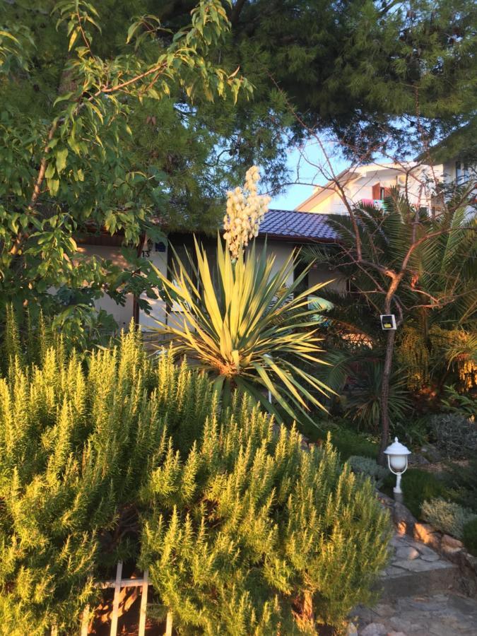Beach House Starigrad Paklenica Dış mekan fotoğraf